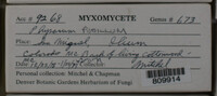 Image Associated With the Occurence